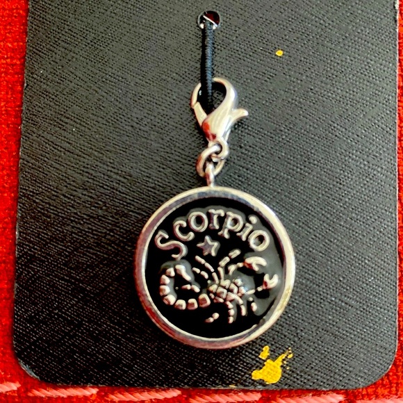 🆕NWT NEW YORK AND COMPANY: Discontinued Name Brand- Silver Scorpio ♏️ Charm - Picture 1 of 6